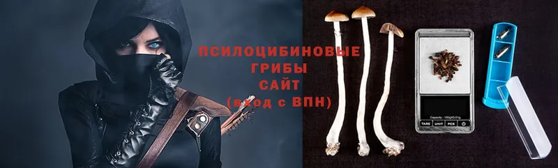 Галлюциногенные грибы Cubensis  Чебоксары 